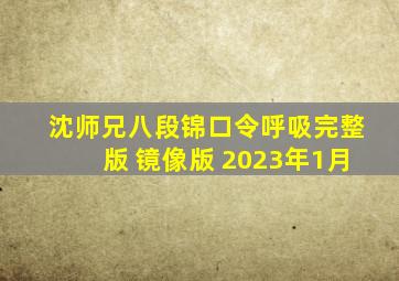 沈师兄八段锦口令呼吸完整版 镜像版 2023年1月